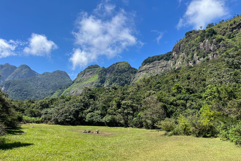 Colombo To Maskeliya & Waterfalls Day Trip