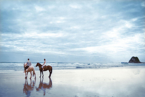 Soma Bay: Reittour mit HoteltransferSoma Bay: Reittour ohne Hoteltransfer