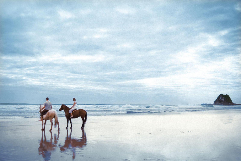 Soma Bay: Reittour mit HoteltransferSoma Bay: Reittour ohne Hoteltransfer