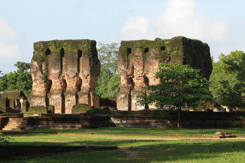 From Kandy: Polonnaruwa Day Tour, Medieval Capital Discovery