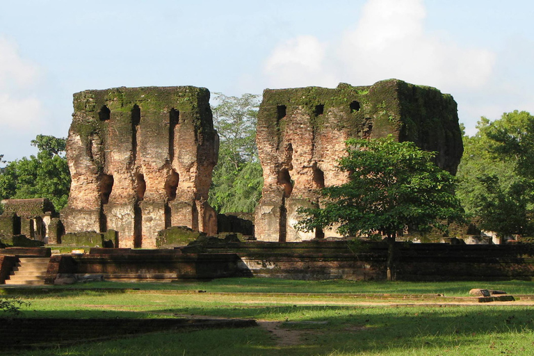From Kandy: Polonnaruwa Day Tour, Medieval Capital Discovery