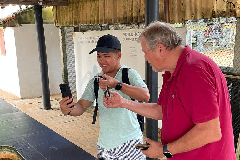 Galle Fort, Sea Turtles & Jungle Beach Private Day Tour