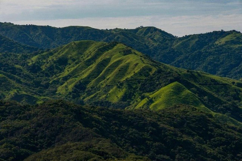 Depuis San Jose : Visite privée de la forêt tropicale de Monteverde