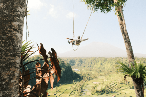 East Bali Private Tour: Lempuyang, Tirta Gangga & Waterfall Private Tour with Hotel Transfer – No Entry Tickets