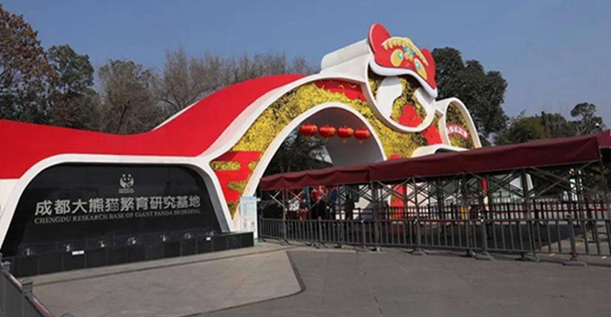Excursão privada de um dia a Chengdu panda e Leshan Buddha - Hizvo