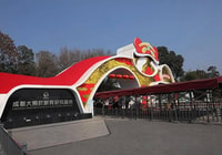 Chengdu panda & Leshan Buddha Tour privato di un giorno - Hizvo