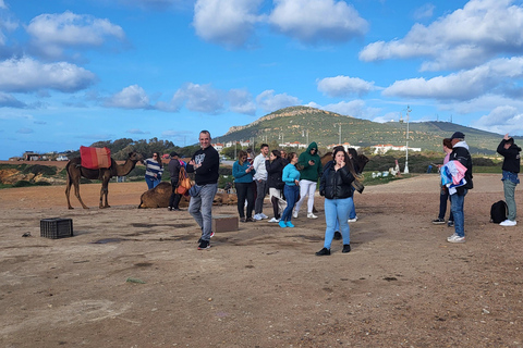 Camel Walk in Tangier