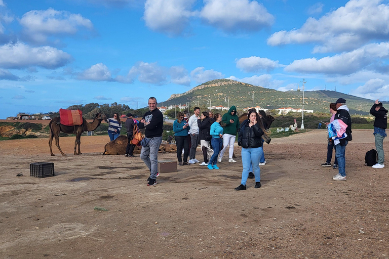 Camel Walk in Tangier