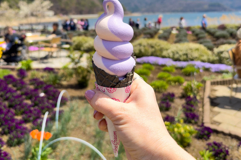 From Tokyo: Mount Fuji and Hakone Private Customizable Trip From Tokyo: Mount Fuji and Hakone Full Customizable Trip