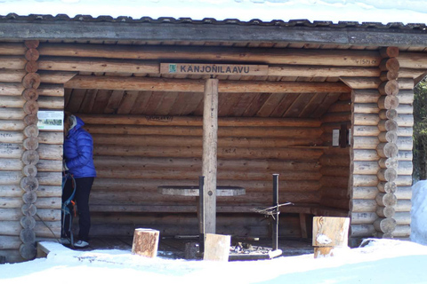 Rovaniemi: Tour durch die Korouoma-Schlucht und die gefrorenen Wasserfälle