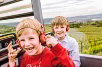 Stuttgart 24-Hour Hop-On Hop-Off Sightseeing Bus Tour - Housity