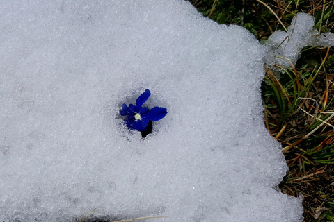 Yerevan: Azhdahak Mountain Hike with Jeep Ride
