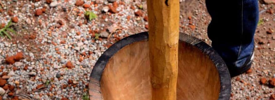 Arusha : Visite d'une plantation de café avec dégustation et ...