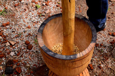 Arusha : Visite d&#039;une plantation de café avec dégustation et ...