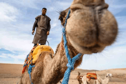 De Marrakech: passeio de camelo ao pôr do sol no deserto de Agafay