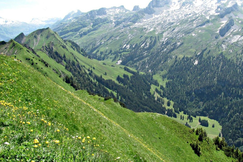 Lucerne: Guided Day Hike to Lucerne Ridge & Lake Views