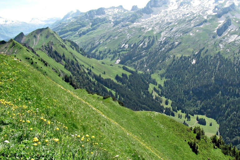 Lucerne: Guided Day Hike to Lucerne Ridge & Lake Views