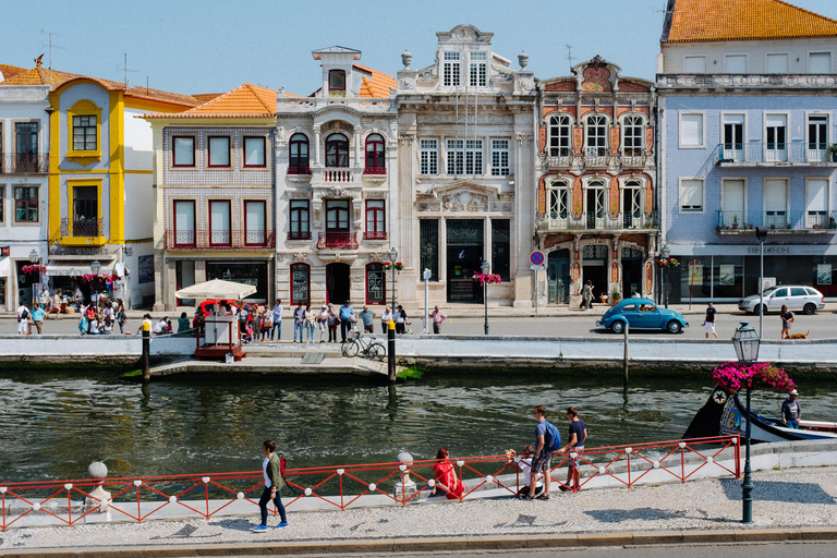 Day Trip to Aveiro and Poças Wine Tasting