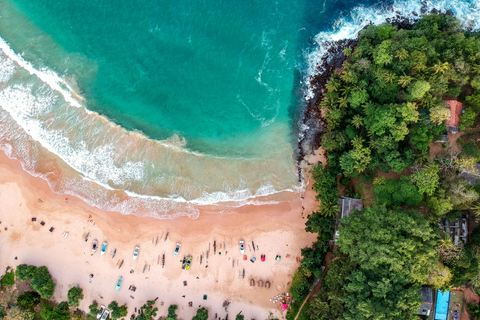De Colombo: Excursão de 10 dias ao Sri Lanka com guia e hotel