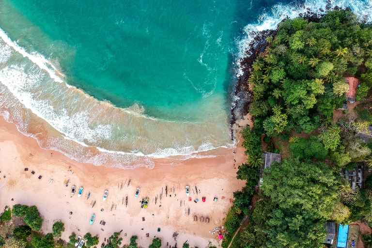 De Colombo: Excursão de 10 dias ao Sri Lanka com guia e hotel