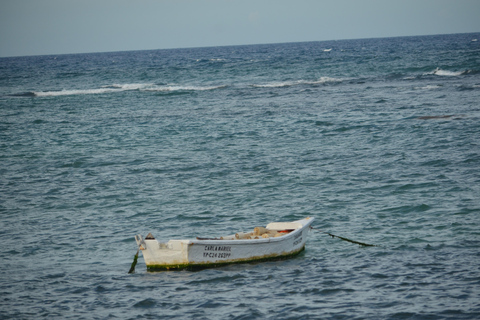 普拉塔港：从泰诺湾/安伯湾出发的猴子之旅和城市之旅普拉塔港：塔伊诺湾/安伯湾的猴子之旅和城市之旅