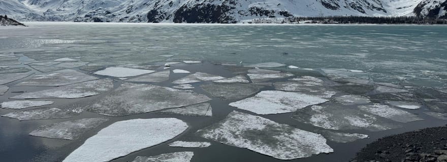 Anchorage : Turnagain Arm Scenic Winter Tour avec un guide