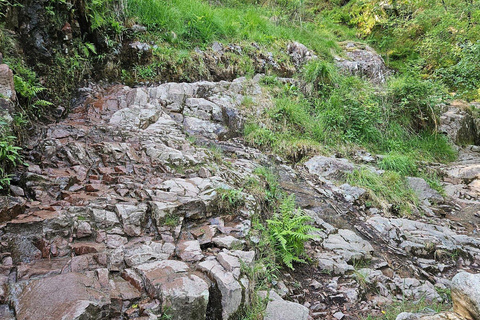 Fort William: Steall Falls and Nevis Gorge Guided Hike