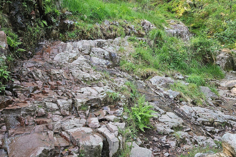 Fort William: Steall Falls and Nevis Gorge Guided Hike