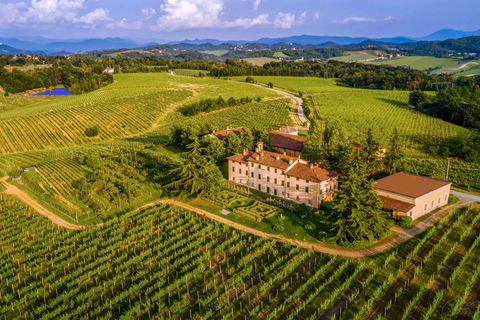 Novi Ligure: Vineyard Estate Tour & Lake Walk with Tasting