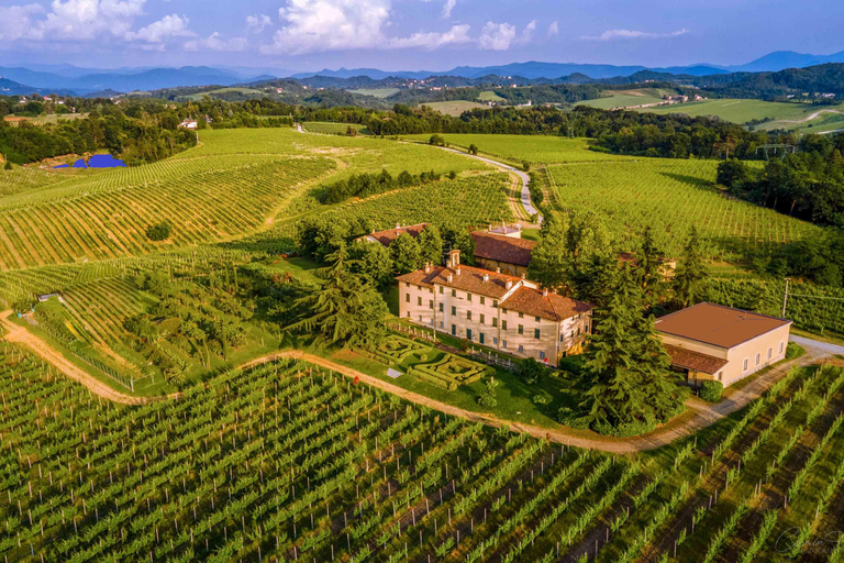 Novi Ligure: Vineyard Estate Tour & Lake Walk with Tasting