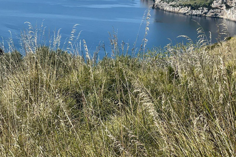 SORRENTO AMALFI COAST: TREKKING AND OVERNIGHT IN NERANO BAY BAY OF NERANO: hiking guide trekking and overnight in Nerano