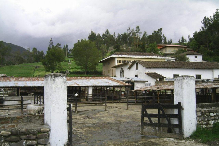 Cajamarca: Tour a la Necrópolis Pre Inca Otuzco, Jardín Botánico y HaciendaEn español