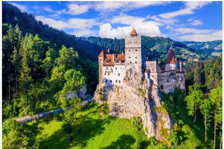 Bucharest: Bear Sanctuary and Dracula's Castle Tour Small Group (max 7) - tour in English entry tichets included