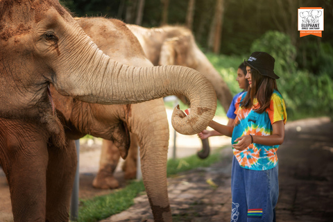Phuket: Elephant Jungle Sanctuary &#039;Kijk naar mij&#039; ervaringPhuket: &#039;Kijk naar mij&#039; ervaring met MEAL