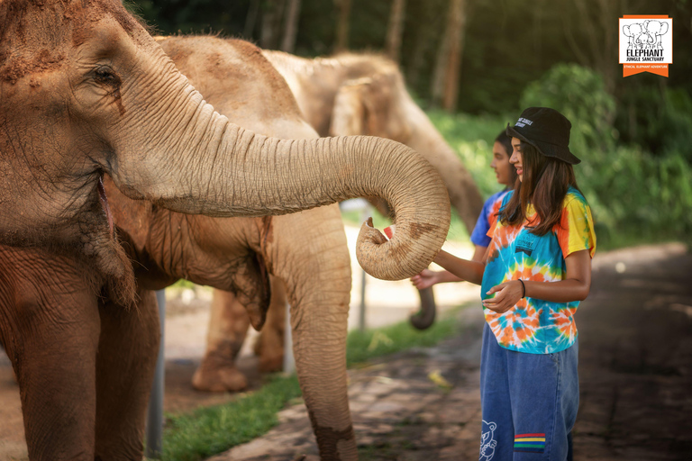 Phuket: Elephant Jungle Sanctuary &#039;Kijk naar mij&#039; ervaringPhuket: &#039;Kijk naar mij&#039; ervaring met MEAL