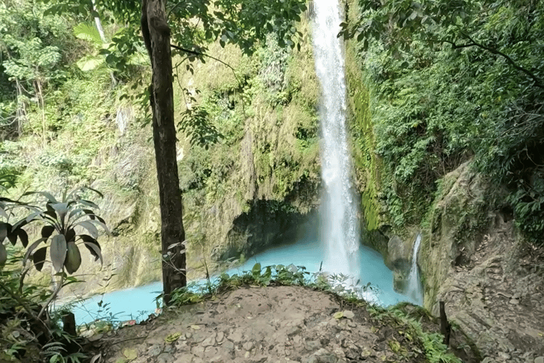 Cebu : excursion d&#039;une journée à Inambakan, Kawasan et aux chutes de Mantayupan