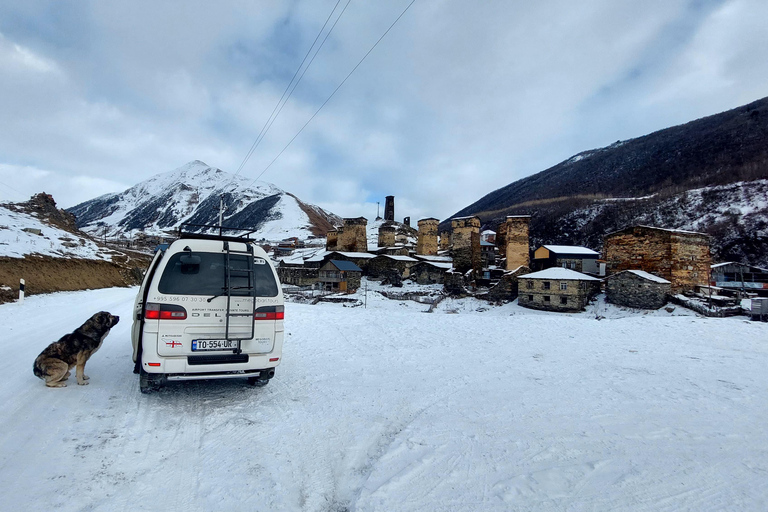 From Kutaisi: Svaneti, Mestia & Ushguli with Scenic Hikes Svaneti 4x4 Private 3-day tour