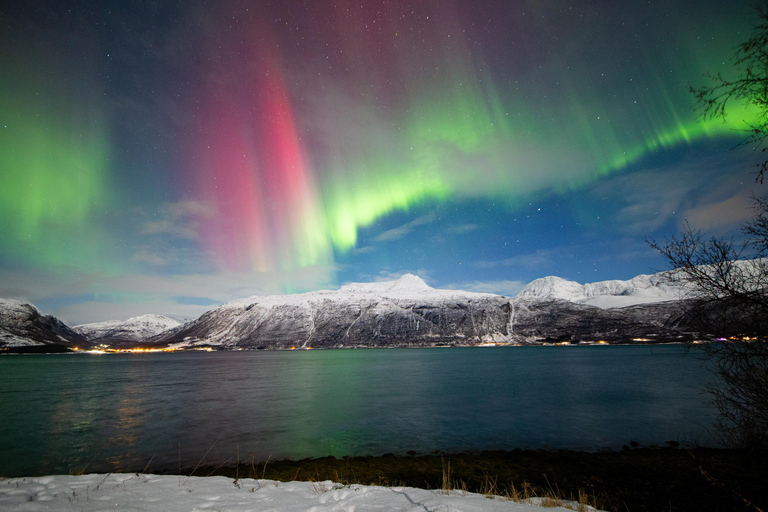 Tromsø: Northern Lights Tour with Free Professional Photos