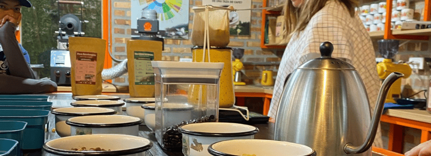 Randonnée dans la vallée de Cocora, plantation de café et visite de Salento