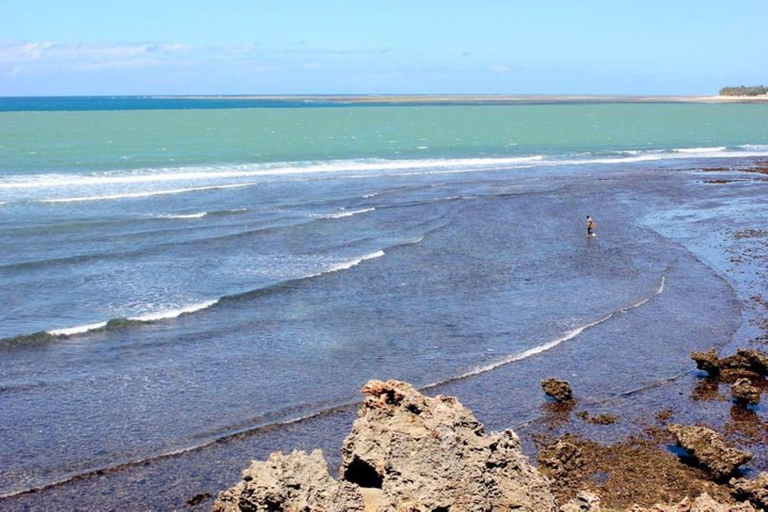 Mombasa : Fort Jesus, sculpteurs sur bois d&#039;Akamba et parc naturel