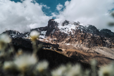 5 giorni di percorso Kilimanjaro Marangu