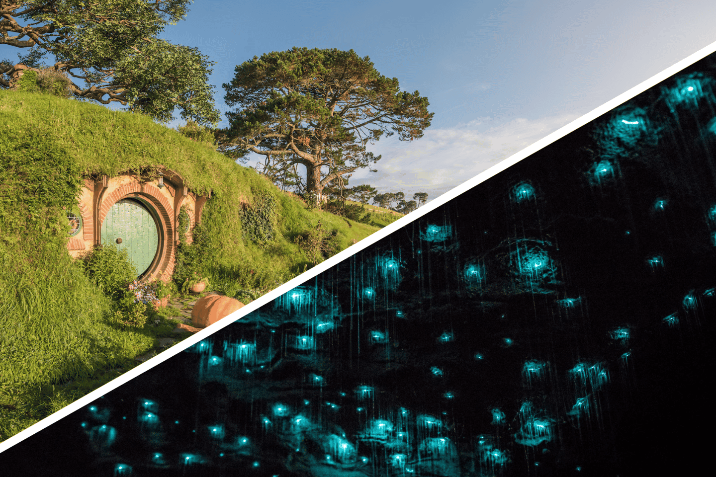 Auckland: to Rotorua via Hobbiton & Waitomo 1-Way Tour - Auckland: to Rotorua via Hobbiton & Waitomo 1-Way Tour