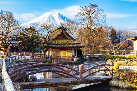 Góra Fuji: Oshino Hakkai, Hakone, Owakudani Cable Car 1-dniowa wycieczkaStacja Shinjuku 8:30