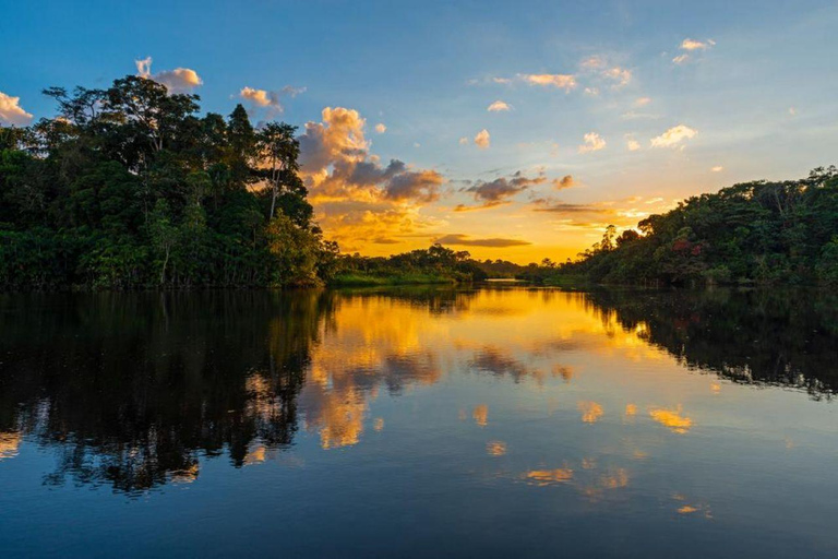 Manu: 8-Day Amazon Wildlife & Jungle Expedition