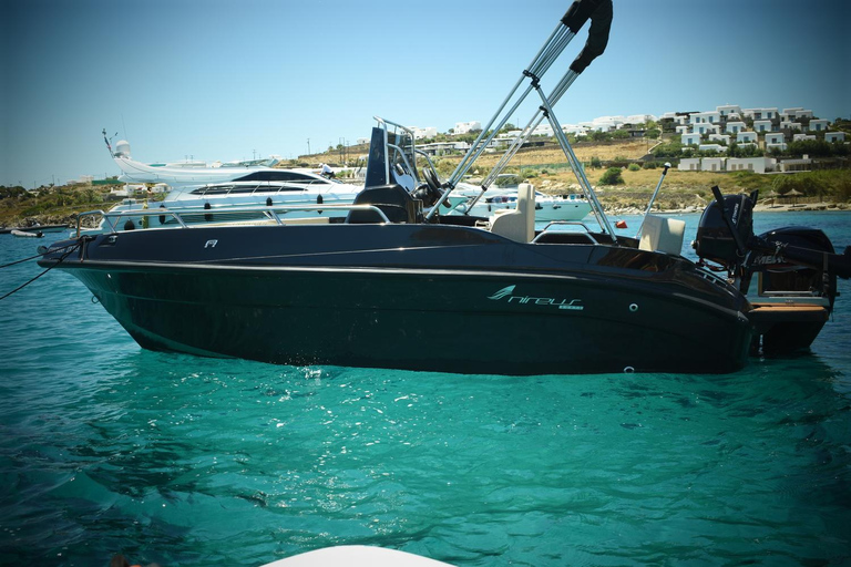 Mykonos: Private Cruise with Drinks and Skipper
