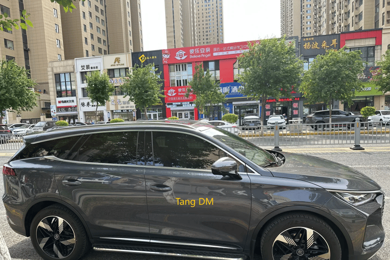 Guangzhou: Private Luxury Vehicle Tour - English or Spanish Guangzhou 8 Hour Tour - VOYAH DREAMPOWER/Buick