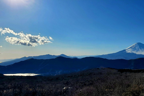 Mount Fuji & Hakone Full-Day Private Tour (Customizable) Hakone & Mount Fuji Tour w/English speaking guide