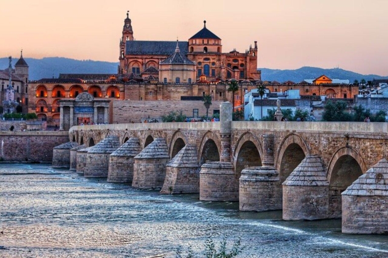 Córdoba : Tour a pie privado por los Patios