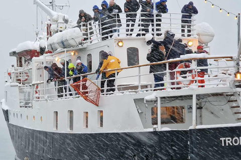 Tromsø: Arctic king crab cruise with self-captured lunch