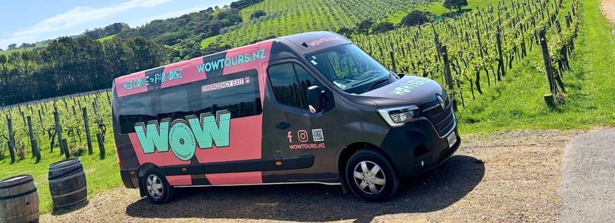 Waiheke Island: Wine, Gin, and Olive Oil Tour with Lunch